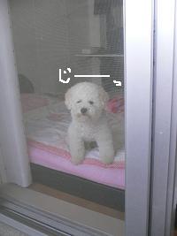 画像 8391.jpg