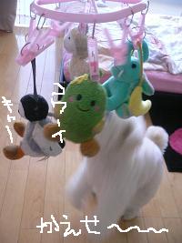 画像 8393.jpg