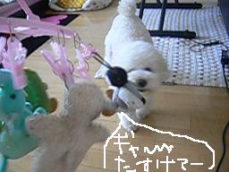 画像 8395.jpg