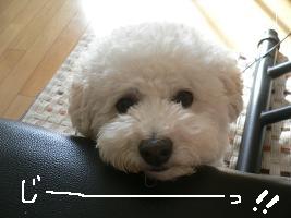 画像 8399.jpg