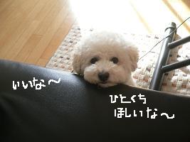 画像 8400.jpg