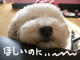 画像 8402.jpg