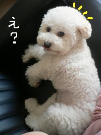 画像 8404.jpg