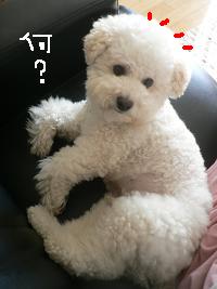 画像 8406.jpg