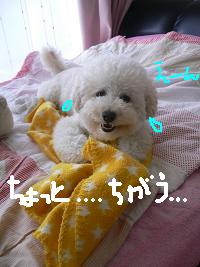 画像 8412.jpg