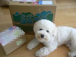 画像 8413.jpg