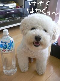 画像 8414.jpg