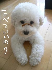 画像 8416.jpg