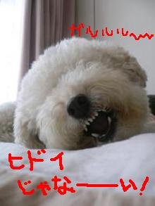 画像 8417.jpg