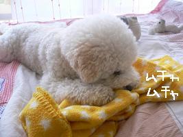 画像 8418.jpg