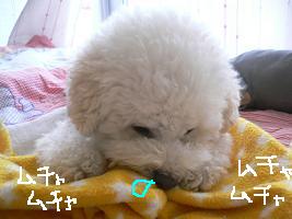 画像 8419.jpg