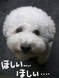 画像 8420.jpg