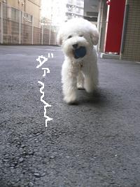 画像 8423.jpg