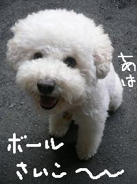 画像 8427.jpg