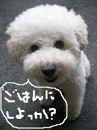 画像 8428.jpg