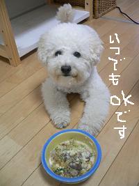 画像 8433.jpg