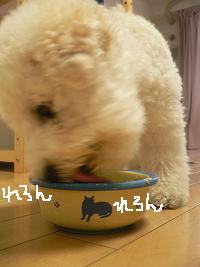 画像 8435.jpg