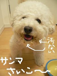画像 8437.jpg