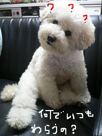 画像 8439.jpg