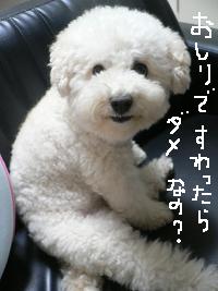 画像 8443.jpg
