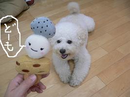 画像 8449.jpg