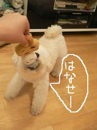 画像 8451.jpg