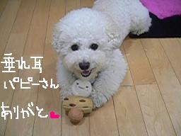 画像 8454.jpg