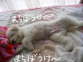画像 8455.jpg