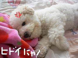 画像 8456.jpg