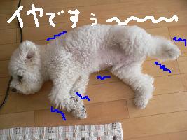 画像 8466.jpg