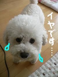 画像 8467.jpg