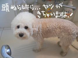 画像 8470.jpg