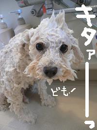 画像 8471.jpg