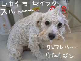 画像 8472.jpg