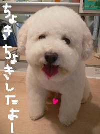 画像 8476.jpg