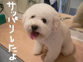 画像 8477.jpg