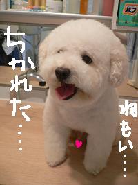 画像 8478.jpg