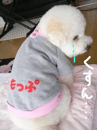 画像 8481.jpg