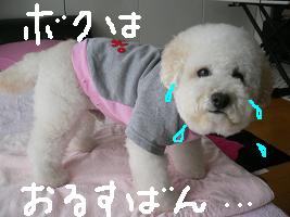 画像 8482.jpg
