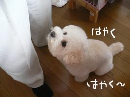 画像 8494.jpg