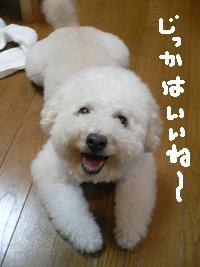 画像 8498.jpg