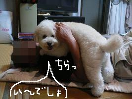 画像 8501.jpg