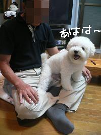 画像 8503.jpg