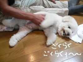 画像 8504.jpg