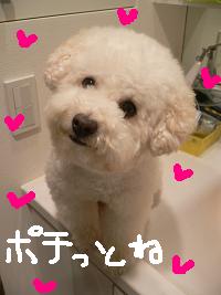 画像 8516.jpg