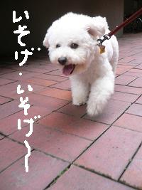 画像 8519.jpg
