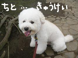 画像 8523.jpg