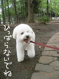 画像 8524.jpg