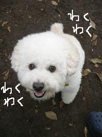 画像 8525.jpg