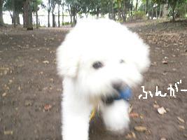 画像 8526.jpg